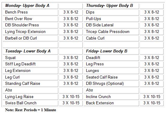 Best Schedule For Gym Workout Warren C Cranford Blog