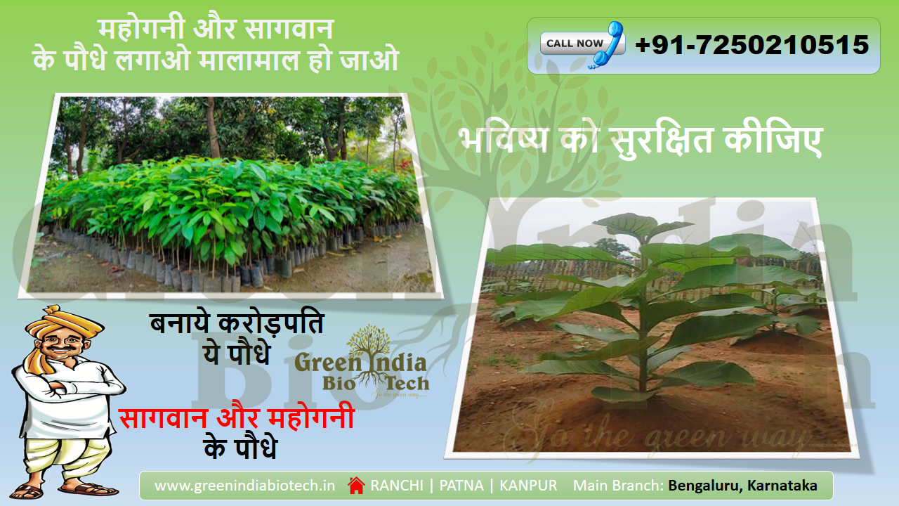 Defraying The Agricultural Damages — The Need Of Plantation Company In Patna, India